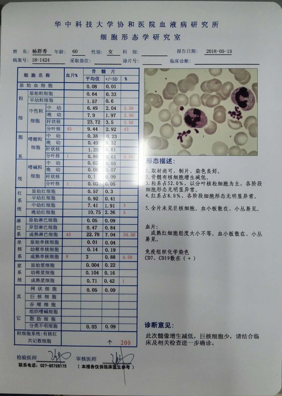 骨穿报告图片