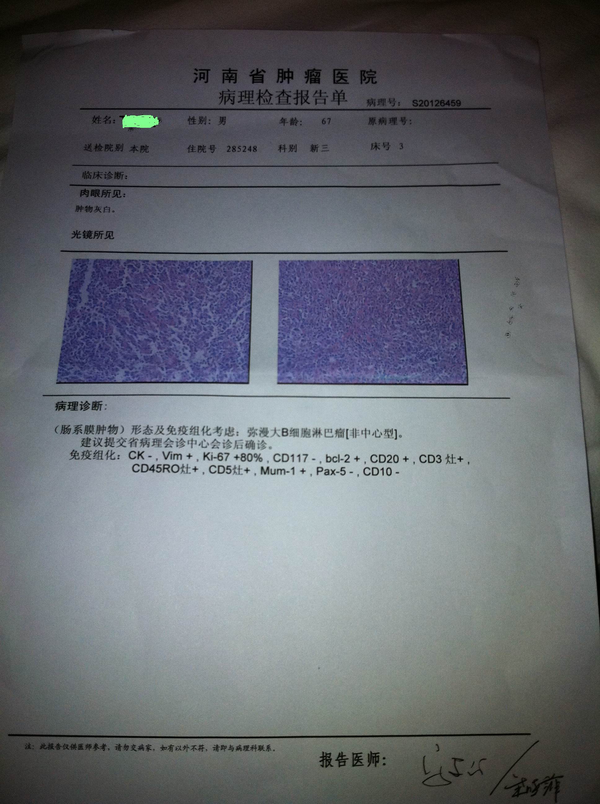 病理报告