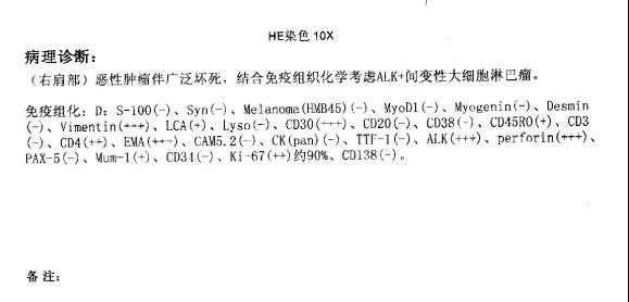 报告1.jpg