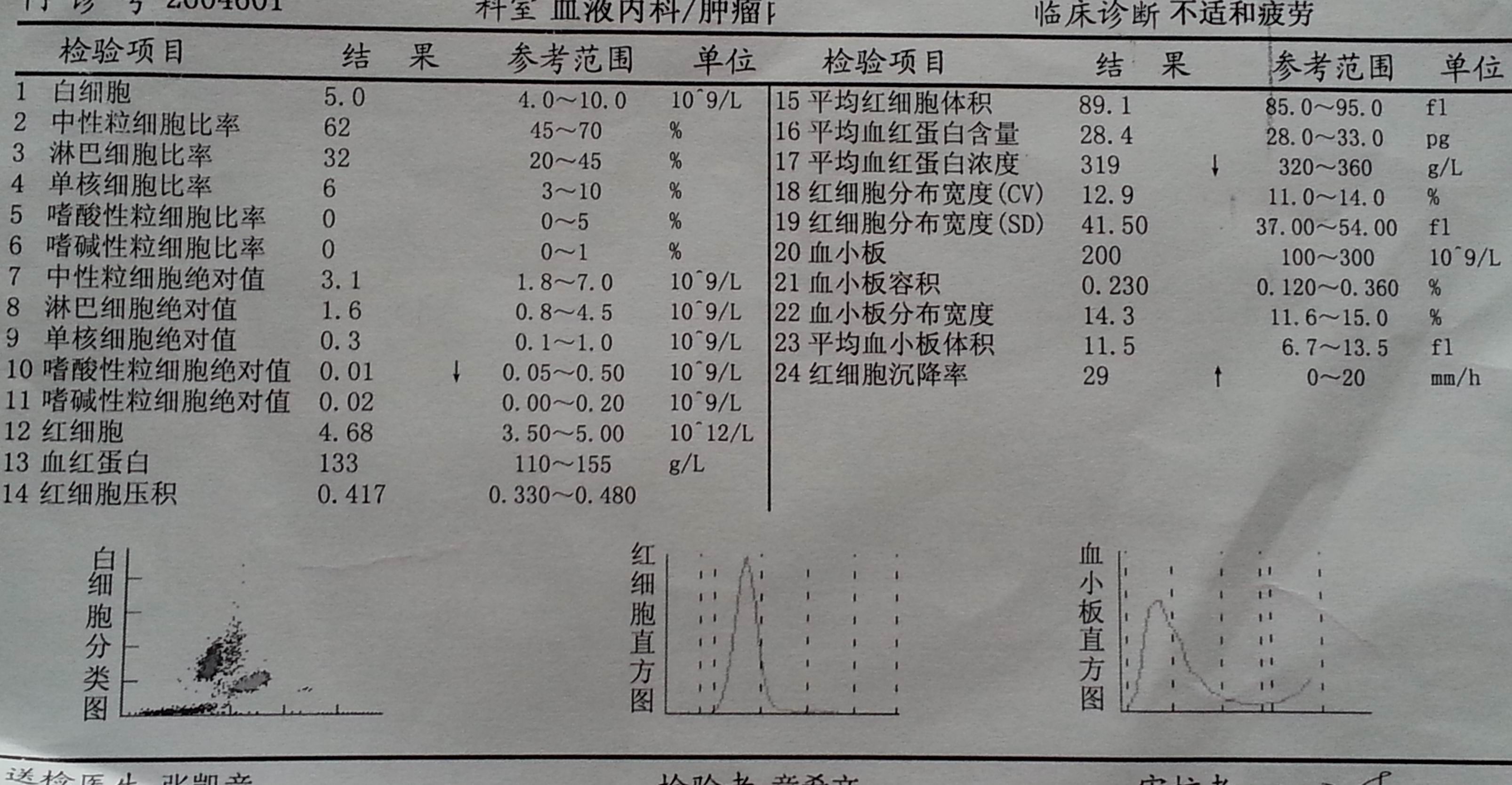 7月31日血常规检查