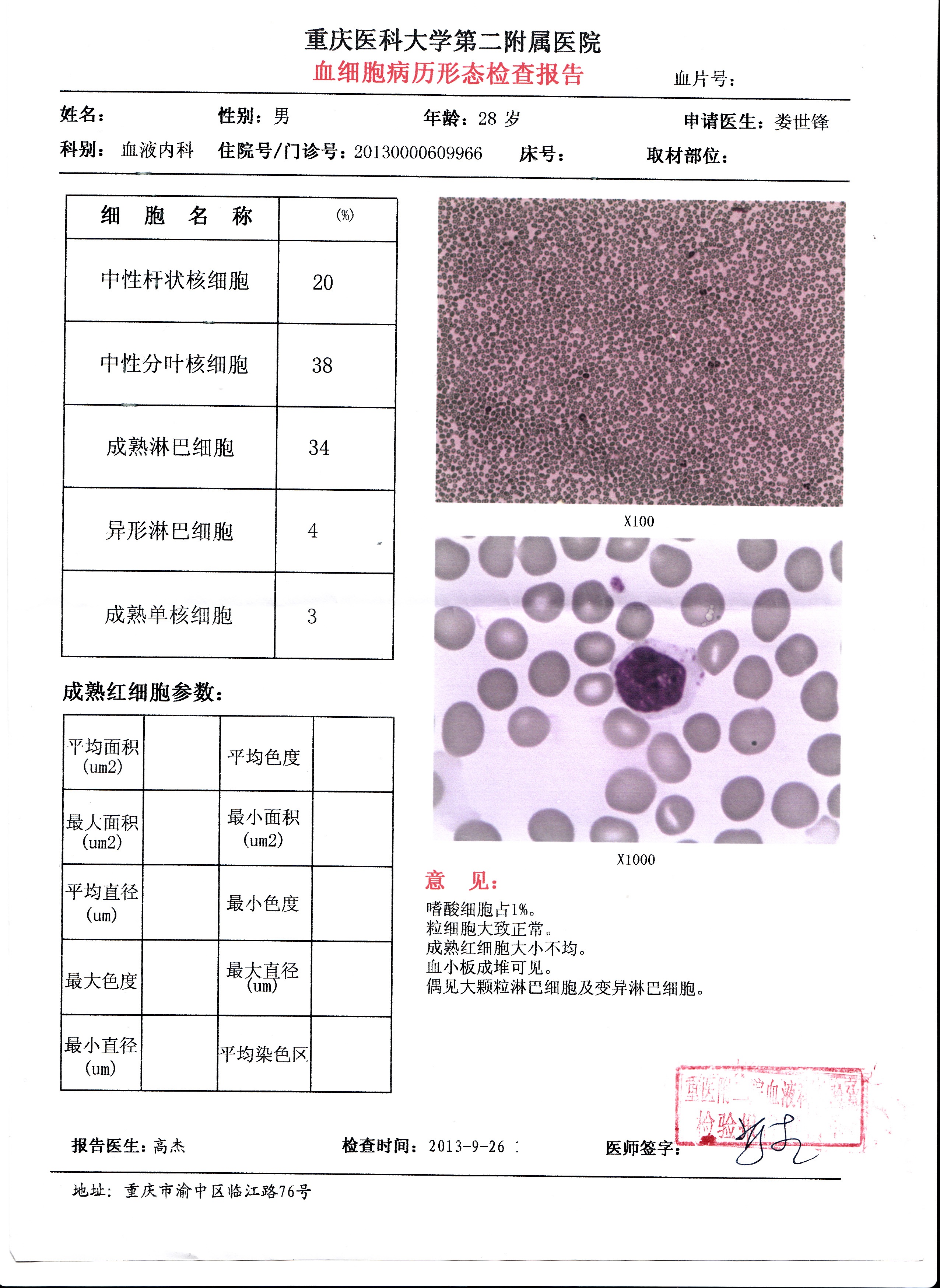 血细胞形态