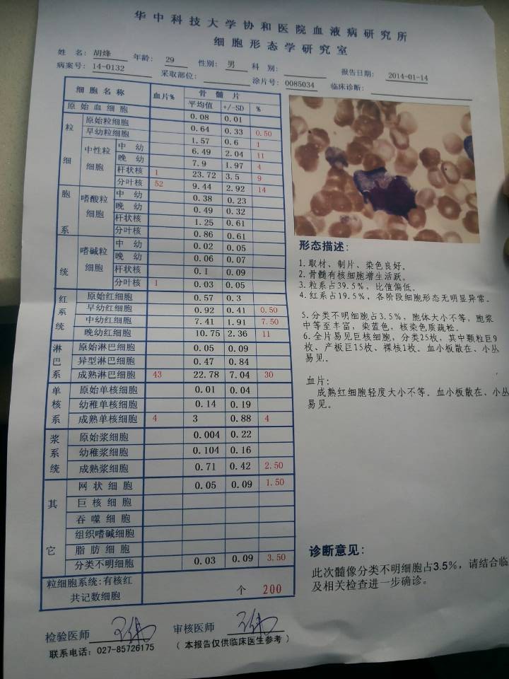 急两次骨穿结果附上能判断分期了吗