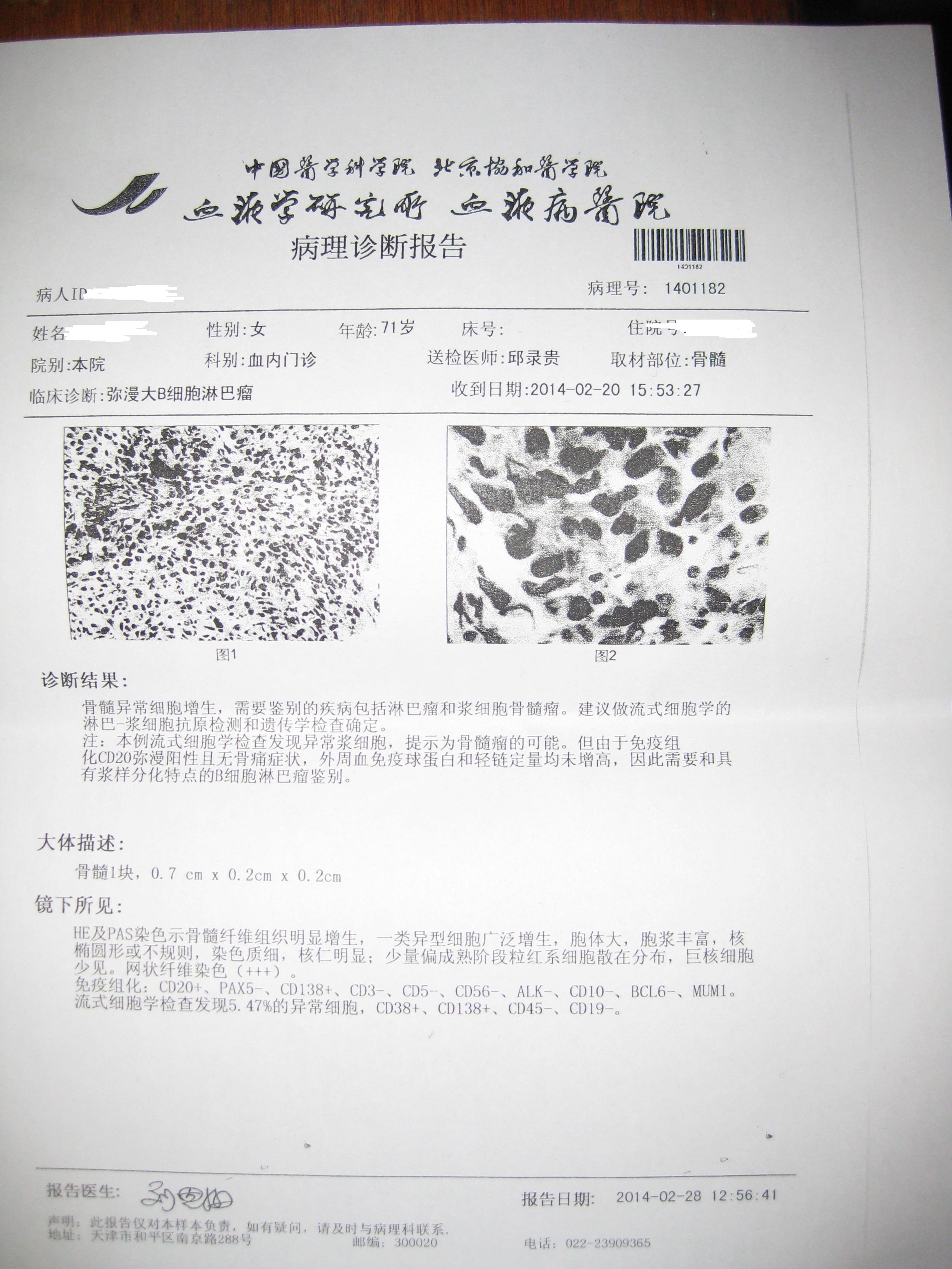 最近的检查报告