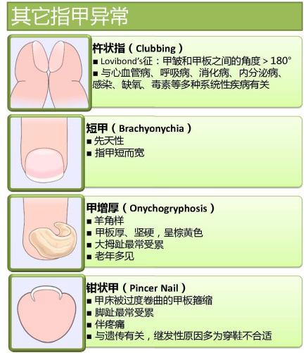 360截图20030101170222203-5.jpg