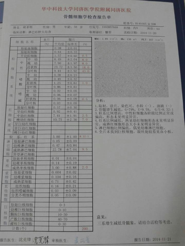 骨髓细胞学检查