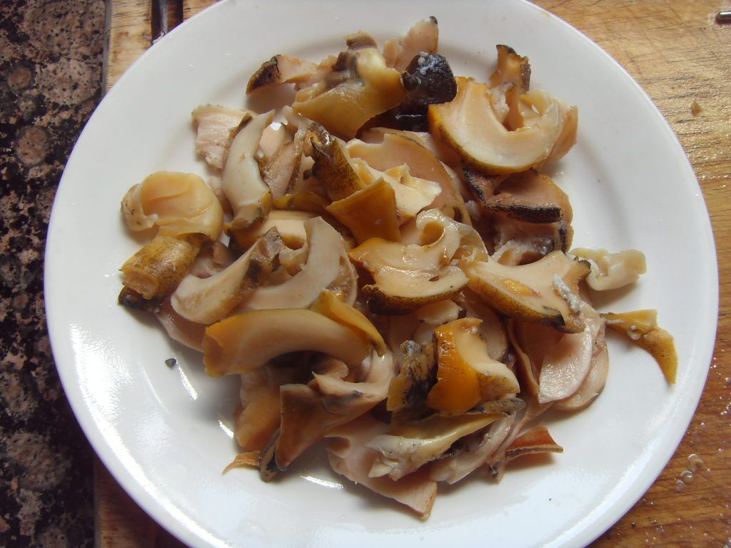 whelk3.jpg