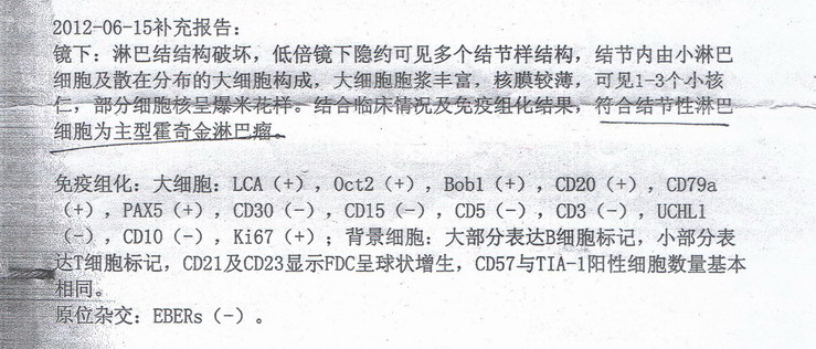 病理报告