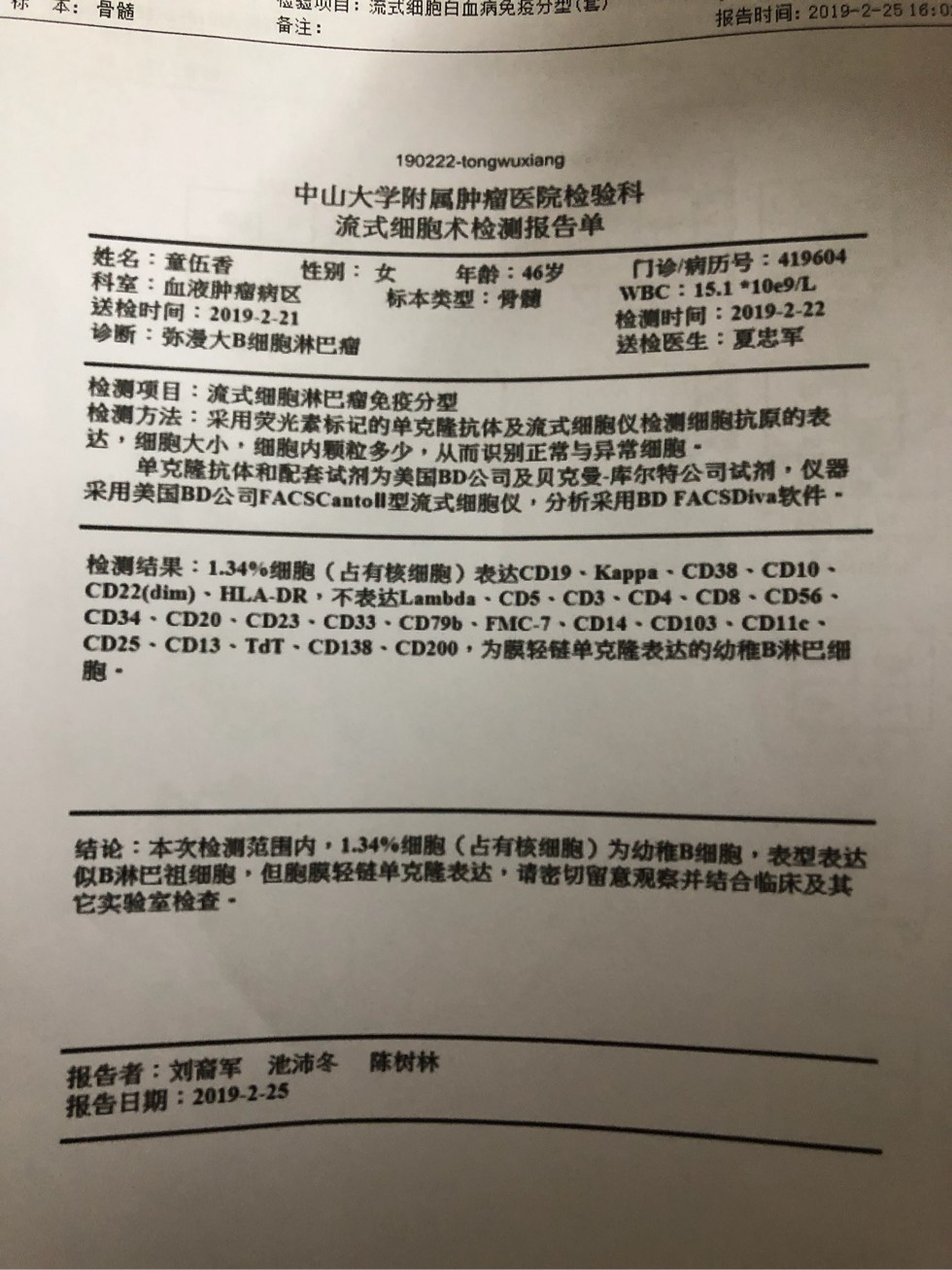 骨髓穿刺报告好复杂啊谁能帮忙看看