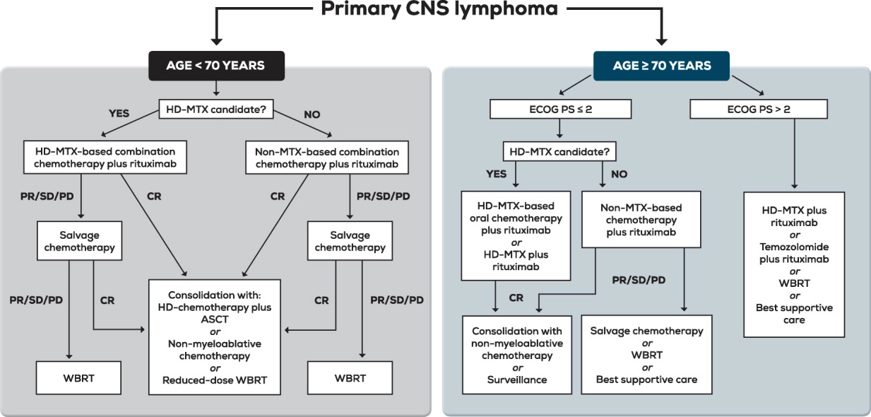 cncr30965-fig-0002-m.png