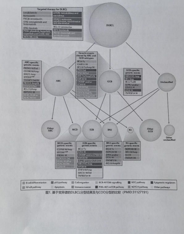 微信截图_20221129224817.png