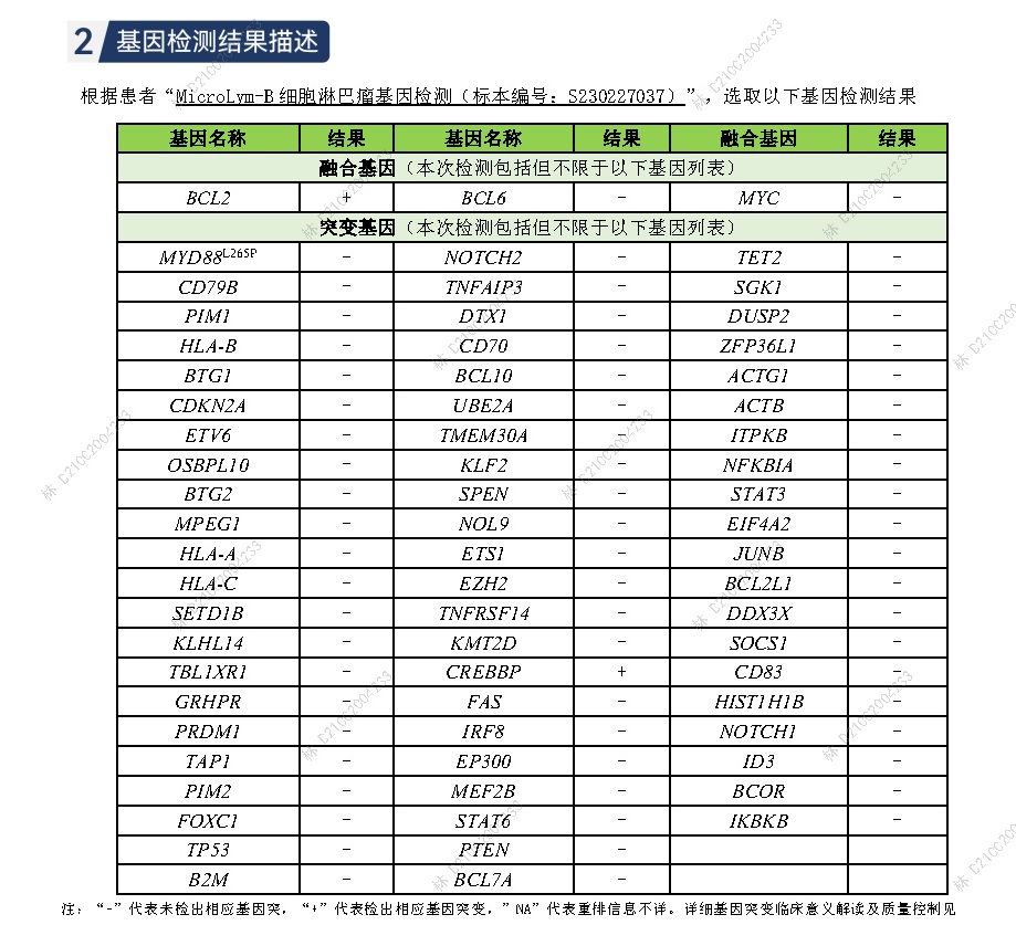 二代基因测序1.jpg