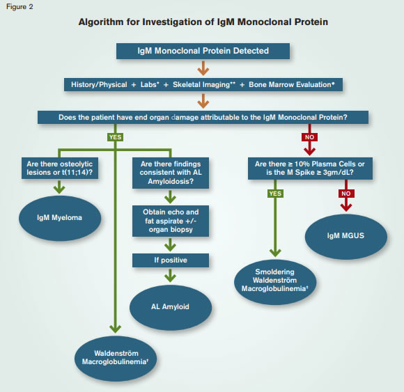 IGM-MGUS.jpeg