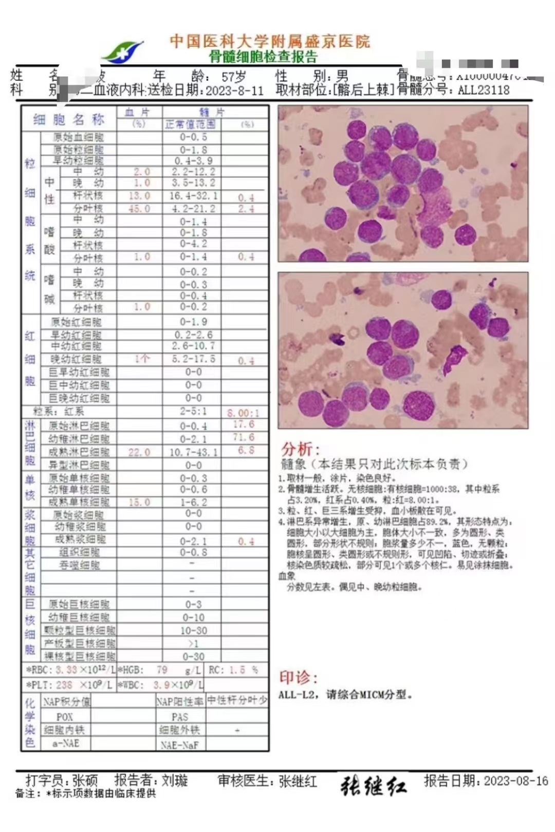 骨穿8.11 (2).jpg