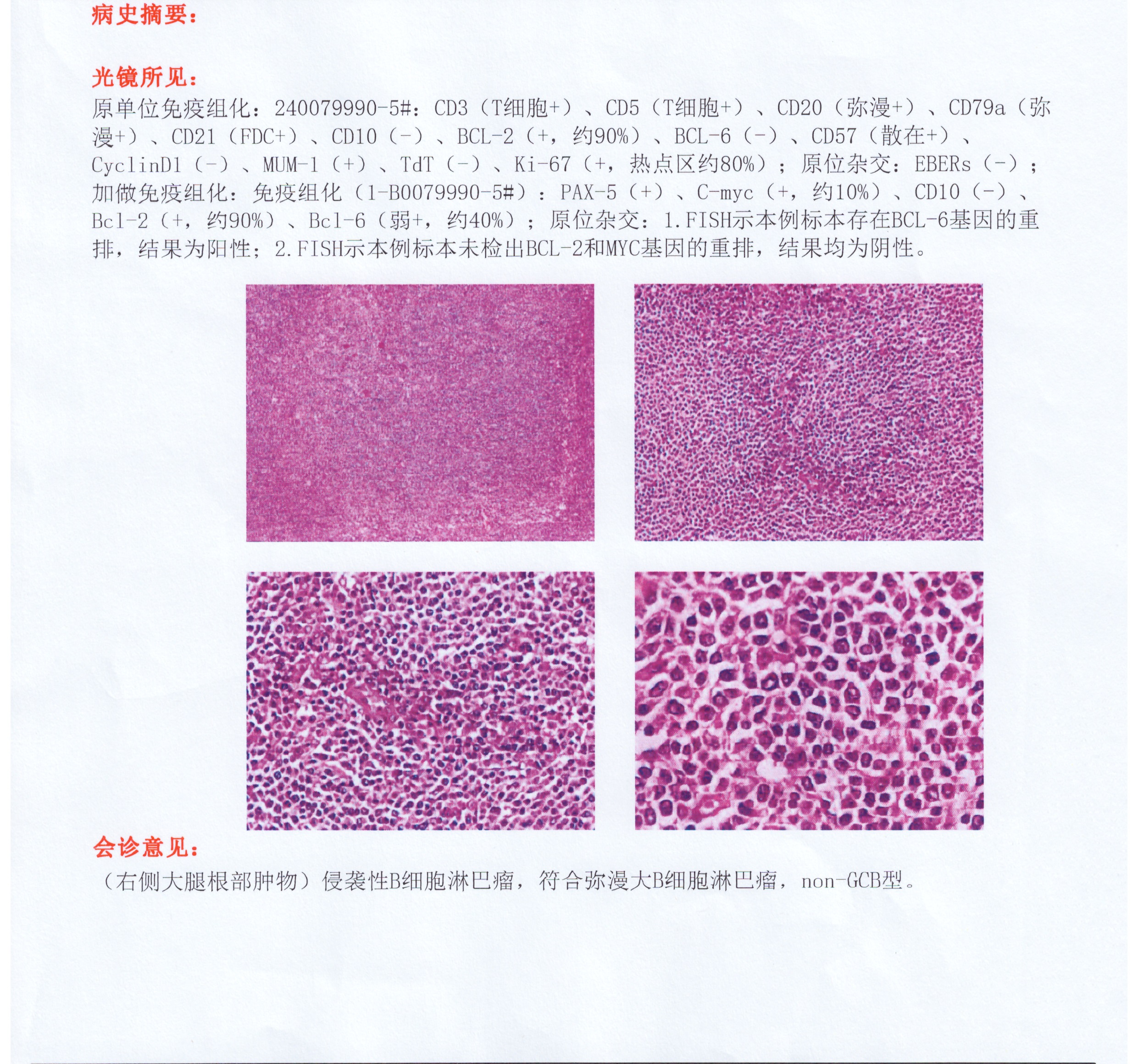 南方医院病理_页面_1.jpg