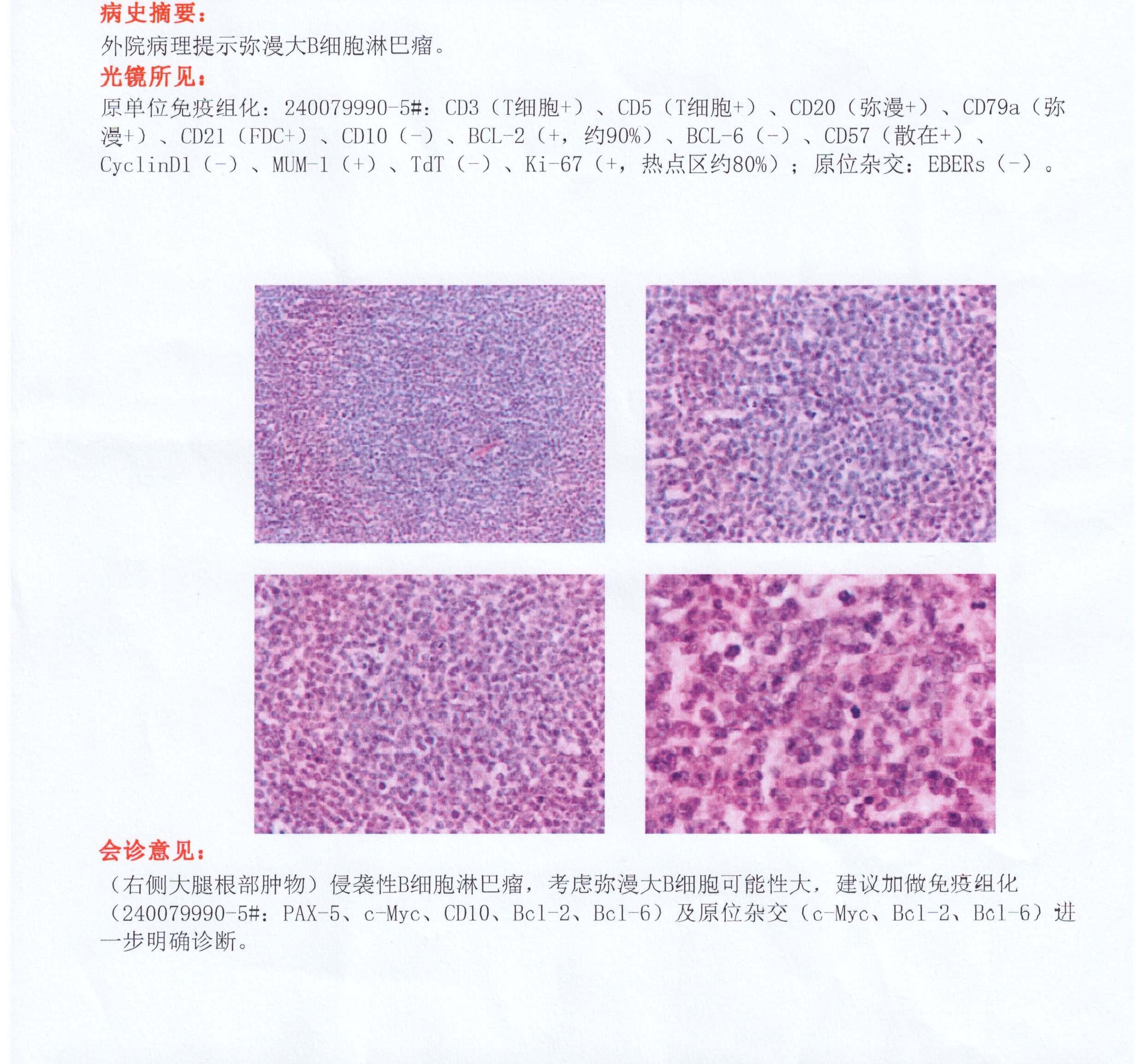 南方医院病理_页面_3.jpg